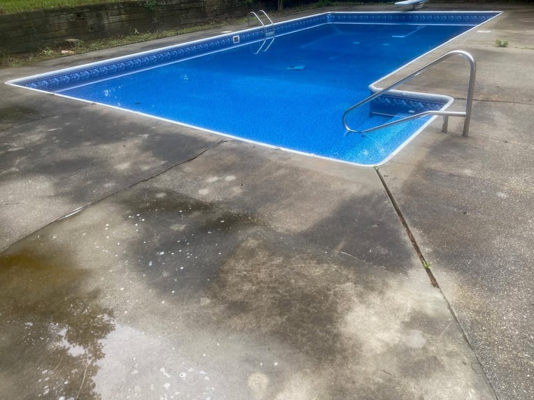 Empty blue swimming pool with metal ladder on concrete deck, surrounded by overgrown areas and algae stains