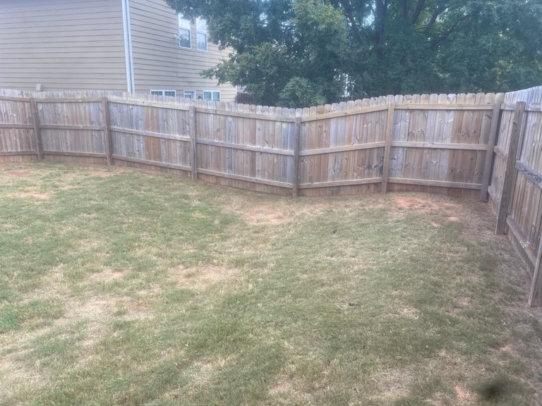 Wooden fence enclosing a residential backyard with patchy grass, trees and house visible in background.
