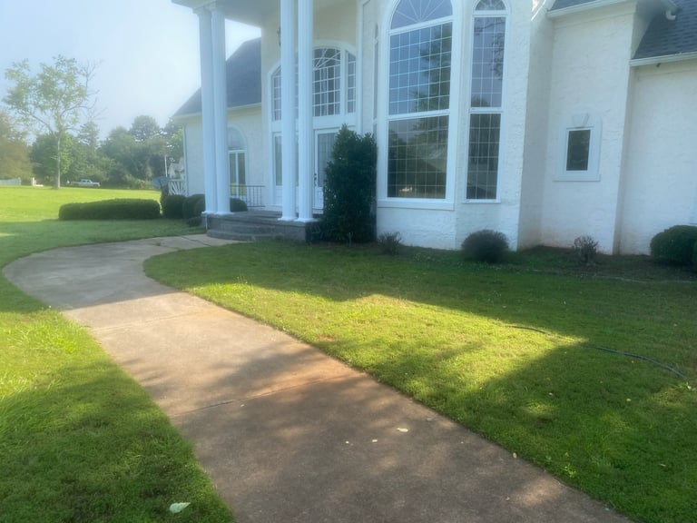 Front exterior of white modern house with large windows, stone patio, manicured lawn, and landscaped shrubs
