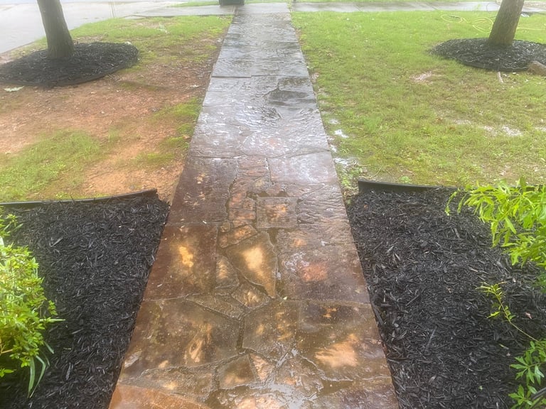 Wet brick pathway lined with black mulch and grass, flanked by two tree trunks in a landscaped yard
